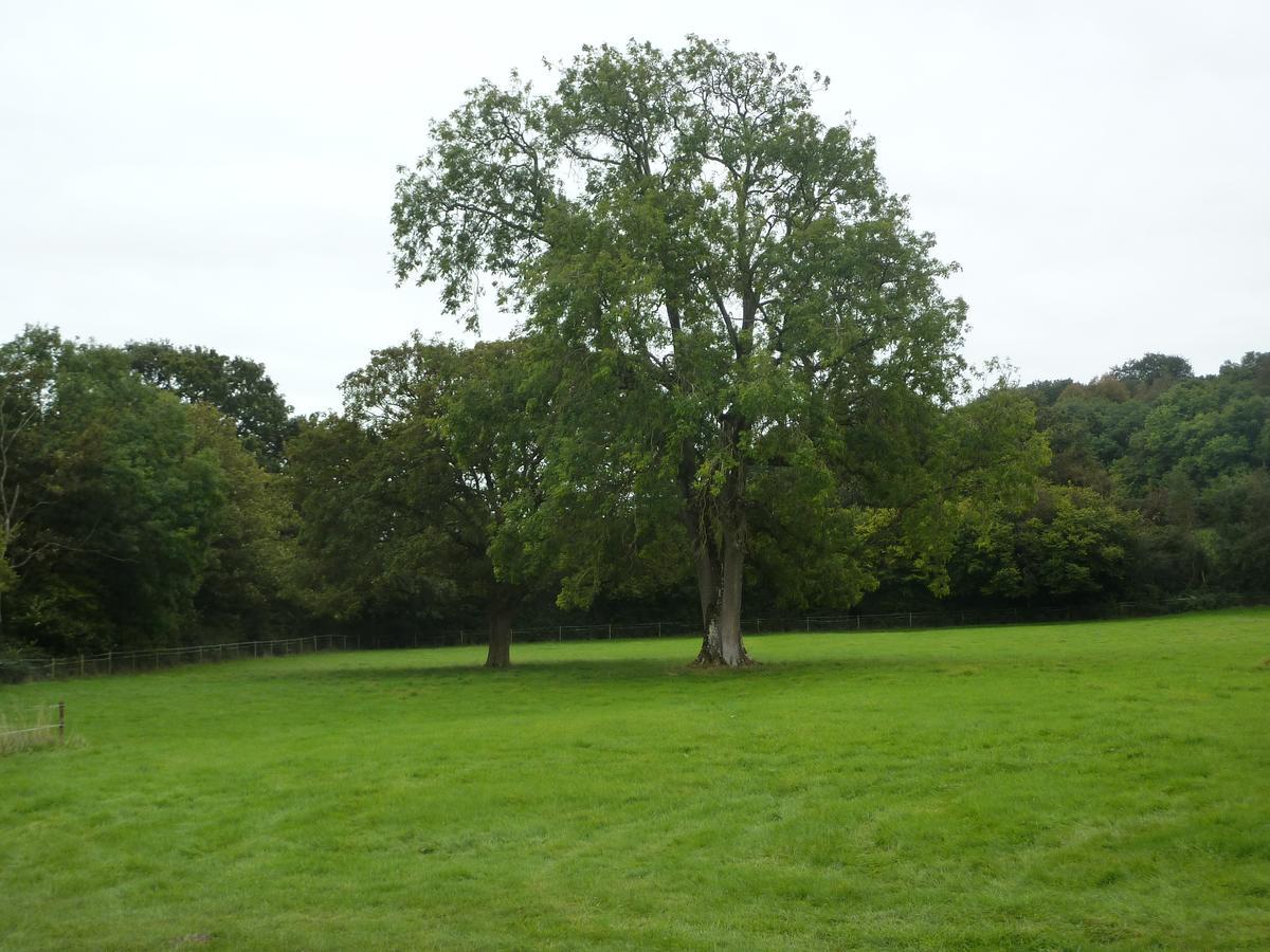 Flax Bourton Snipelands Bed And Breakfast. المظهر الخارجي الصورة